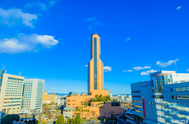 浜松市のおすすめ婚活サービス比較！口コミや評判を徹底検証