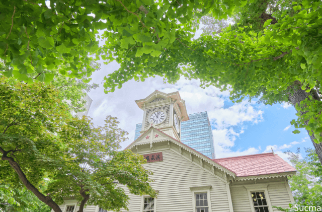 札幌市のおすすめ婚活サービス比較！口コミや評判を徹底検証