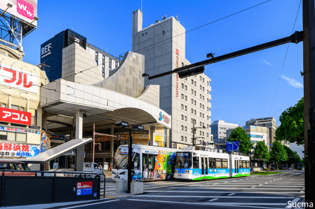 熊本県のおすすめ婚活サービス比較！口コミや評判を徹底検証