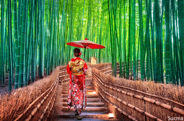 京都府のおすすめ婚活サービス比較！口コミや評判を徹底検証