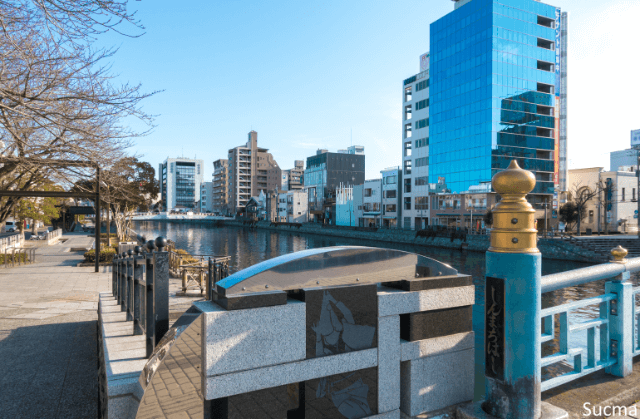 徳島県のおすすめ婚活サービス比較！口コミや評判を徹底検証