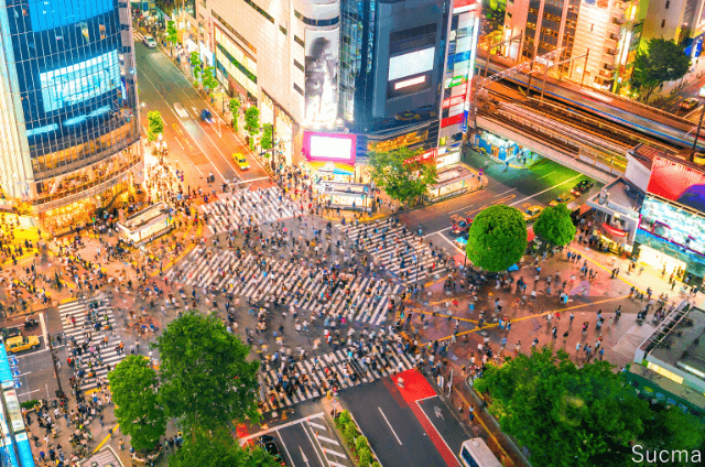 東京で評判のおすすめ結婚相談所比較ランキング28選 | 大手・ハイクラス・オンライン・地域密着などカテゴリー別に紹介！