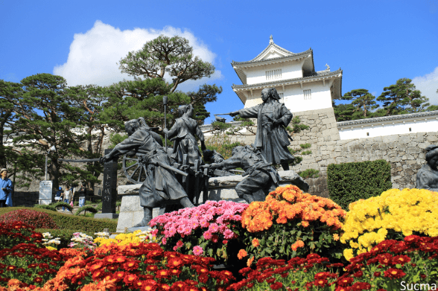 福島県のおすすめ婚活パーティー！人気5社口コミ比較ランキング