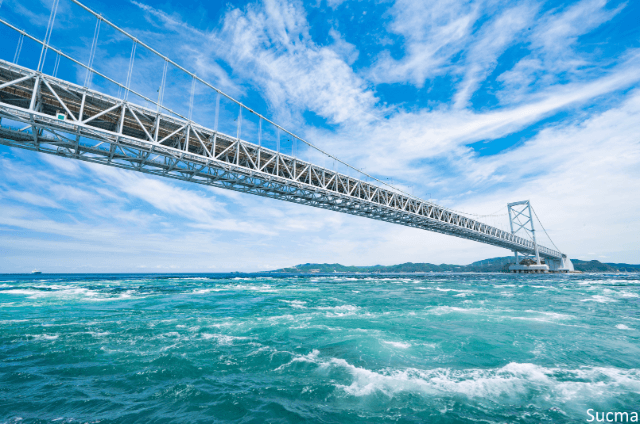 徳島県のおすすめ婚活パーティー！人気3社口コミ比較ランキング