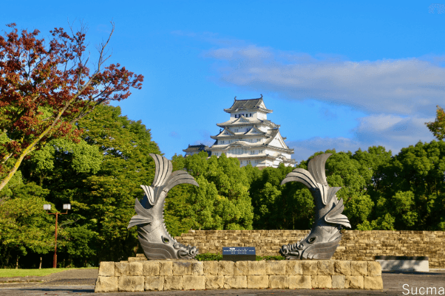 姫路市のおすすめ結婚相談所！人気16社口コミ比較ランキング