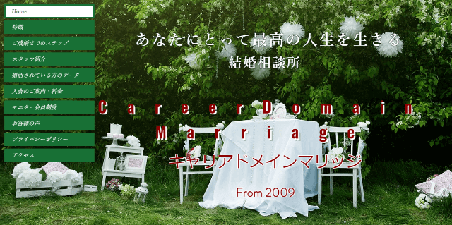 キャリアドメインマリッジのイメージ