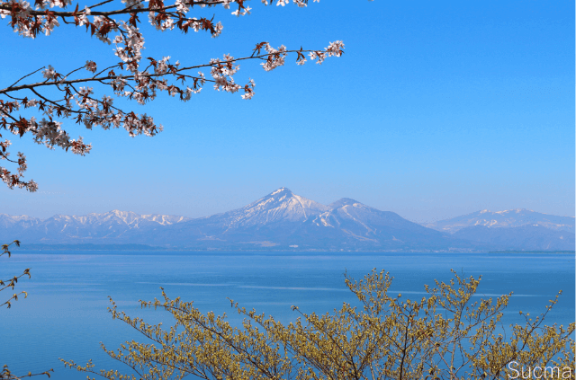 郡山市の結婚相談所