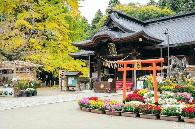 水戸市の結婚相談所