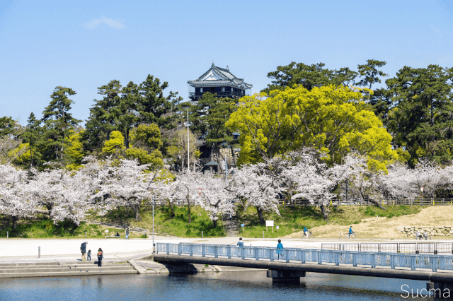 岡崎市のおすすめ結婚相談所！人気18社口コミ比較ランキング